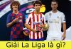 Lịch sử hình thành giải bóng đá la Liga – Các đội bóng tham gia La Liga Giải La Liga là gì