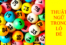 Các thuật ngữ trong lô đề mà người mới chơi nào cũng nên biết Các thuật ngữ trong lô đề