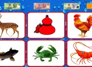 Một số mẹo chơi bầu cua tôm cá bạn nên biết Một số mẹo chơi bầu cua tôm cá bạn nên biết