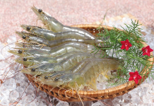 Nằm mơ thấy tôm tép và những bí ẩn xoay quanh giấc mơ Nằm mơ thấy tôm tép và những bí ẩn xoay quanh giấc mơ