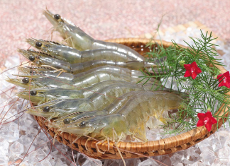 Nằm mơ thấy tôm tép và những bí ẩn xoay quanh giấc mơ Nằm mơ thấy tôm tép và những bí ẩn xoay quanh giấc mơ