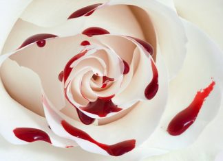 Điềm báo gì khi mơ thấy máu – Đánh con gì chuẩn nhất? Điềm báo gì khi mơ thấy máu