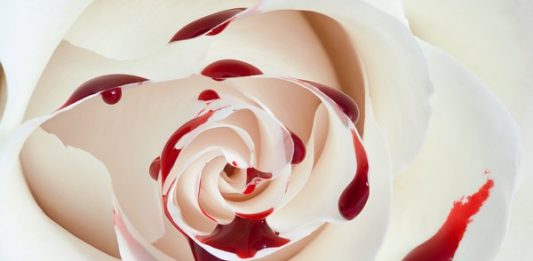 Điềm báo gì khi mơ thấy máu – Đánh con gì chuẩn nhất? Điềm báo gì khi mơ thấy máu