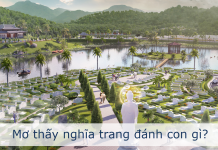 Những điều bí ẩn của mơ thấy nghĩa trang mơ thấy nghĩa trang đánh con gì?