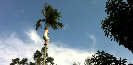 Mộng thấy trèo cao chốt lô đề con gì? mơ thấy trèo cây đánh con gì