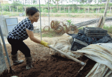 Mơ thấy cứt có phải là giấc mơ kỳ cục nhất trên đời? Nằm mơ thấy cứt là điềm báo gì?