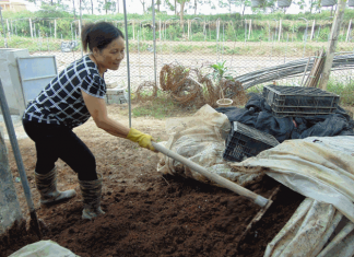 Mơ thấy cứt có phải là giấc mơ kỳ cục nhất trên đời? Nằm mơ thấy cứt là điềm báo gì?