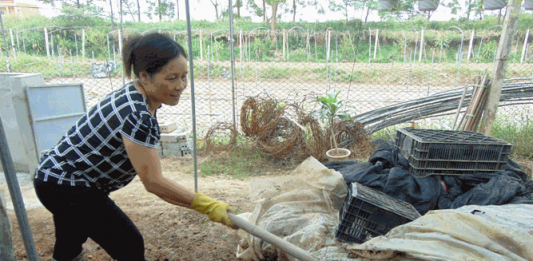 Mơ thấy cứt có phải là giấc mơ kỳ cục nhất trên đời? Nằm mơ thấy cứt là điềm báo gì?