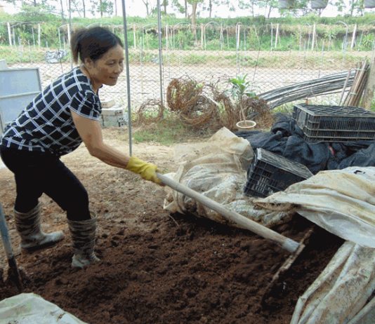Mơ thấy cứt có phải là giấc mơ kỳ cục nhất trên đời? Nằm mơ thấy cứt là điềm báo gì?