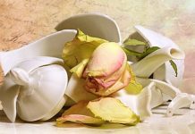 Vỡ lọ hoa là điềm gì và đánh số nào chắc ăn nhất Nằm mơ thấy vỡ lọ hoa sứ là điềm báo gì?