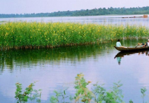 Đánh con gì một phát ăn ngay khi nằm mơ thấy sông nước?