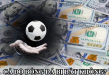 Tìm hiểu về cá độ bóng đá – Cá độ bóng đá bị bắt hay không? Tìm hiểu về cá độ bóng đá - Cá độ bóng đá bị bắt hay không?
