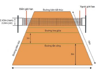 Kích thước sân bóng chuyền chuẩn là bao nhiêu? Kích thước sân bóng chuyền chuẩn là bao nhiêu?