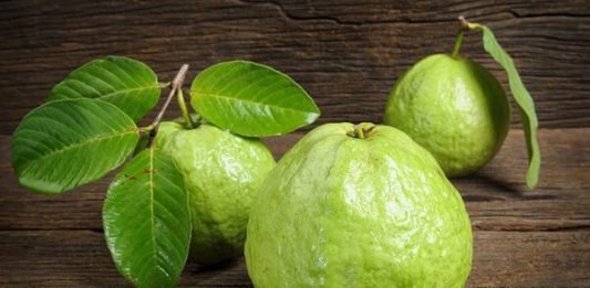 Nằm mơ thấy quả ổi điềm báo điều gì và đánh số nào? Nằm mơ thấy quả ổi