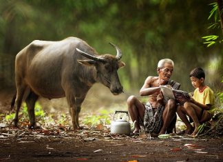 Mơ thấy ông nội – Giải mã điềm báo và con số may mắn sẽ về Mơ thấy ông nội