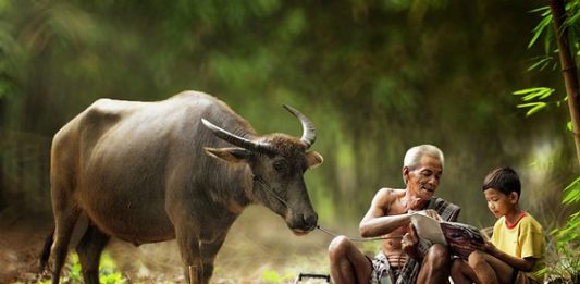 Mơ thấy ông nội – Giải mã điềm báo và con số may mắn sẽ về Mơ thấy ông nội