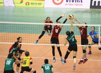 Kích thước sân bóng chuyền tiêu chuẩn và những quy định liên quan Kích thước sân bóng chuyền