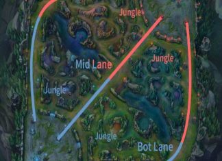 TOP BOT là gì – Cẩm nang đi đường để leo rank hiệu quả TOP BOT là gì