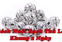 Cách nuôi bạch thử lô khung 2 ngày dễ trúng nhất cách nuôi bạch thủ lô khung 2 ngày