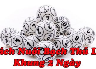 Cách nuôi bạch thử lô khung 2 ngày dễ trúng nhất cách nuôi bạch thủ lô khung 2 ngày