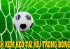 Bạn có biết cách xem kèo tài xỉu bóng đá như thế nào đúng nhất cách xem kèo tài xỉu bóng đá