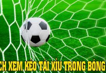Bạn có biết cách xem kèo tài xỉu bóng đá như thế nào đúng nhất cách xem kèo tài xỉu bóng đá