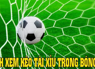 Bạn có biết cách xem kèo tài xỉu bóng đá như thế nào đúng nhất cách xem kèo tài xỉu bóng đá