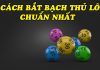 Bạch thủ lô là gì? có những cách bắt bạch thủ lô nào? Cách bắt bạch thủ lô