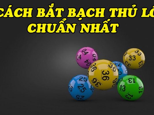 Bạch thủ lô là gì? có những cách bắt bạch thủ lô nào? Cách bắt bạch thủ lô