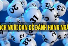 Các cách nuôi dàn đề đánh hàng ngày Cách nuôi dàn đề