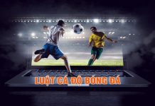 Mách bạn những quy luật cá độ bóng đá cho mùa EURO Chơi cá độ bóng đá như thế nào dễ thắng