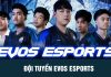 Chi tiết về đội tuyển LMHT Evos Esports
