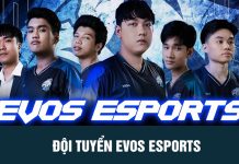 Chi tiết về đội tuyển LMHT Evos Esports