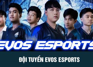 Chi tiết về đội tuyển LMHT Evos Esports