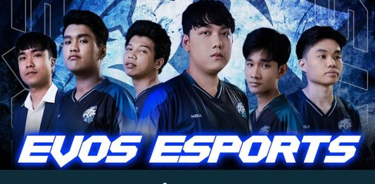 Chi tiết về đội tuyển LMHT Evos Esports