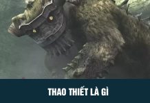Thao thiết là gì?