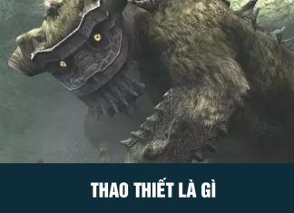 Thao thiết là gì?