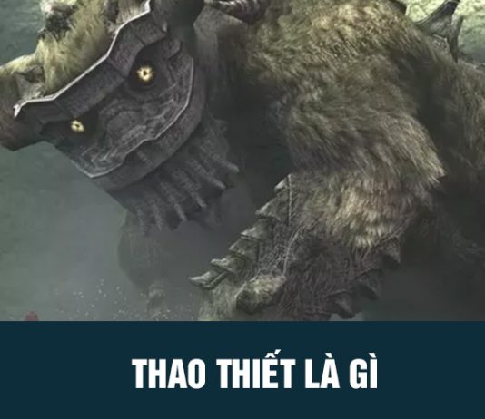Thao thiết là gì?