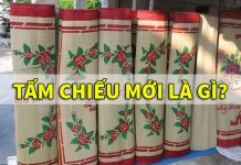 Tấm “chiếu mới” là gì? Vì sao nó lại được sử dụng nhiều đến thế chiếu mới là gì