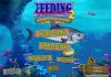 Tất tần tật về trò chơi huyền thoại Feeding Frenzy Feeding Frenzy