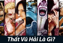 Tất tần tật về Thất Vũ Hải trong One Piece Thất Vũ Hải Là Gì