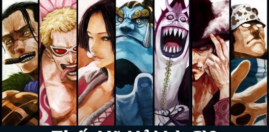 Tất tần tật về Thất Vũ Hải trong One Piece Thất Vũ Hải Là Gì