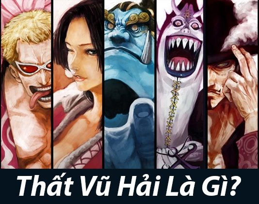 Tất tần tật về Thất Vũ Hải trong One Piece Thất Vũ Hải Là Gì