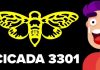 Cicada 3301 – Tổ chức với những câu đố bí ẩn nhất hiện nay Cicada 3301 là gì?