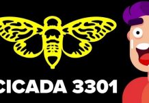 Cicada 3301 – Tổ chức với những câu đố bí ẩn nhất hiện nay Cicada 3301 là gì?