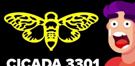 Cicada 3301 – Tổ chức với những câu đố bí ẩn nhất hiện nay Cicada 3301 là gì?
