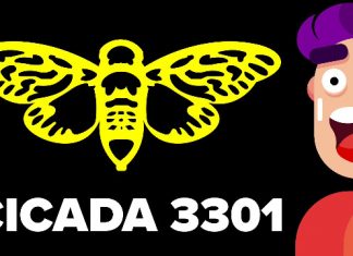 Những thông tin xung quanh Cicada 3301 Cicada 3301